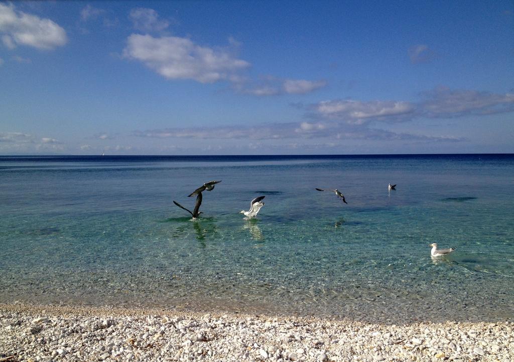 Appartamento Ponticello By Helloelba Portoferraio Eksteriør billede